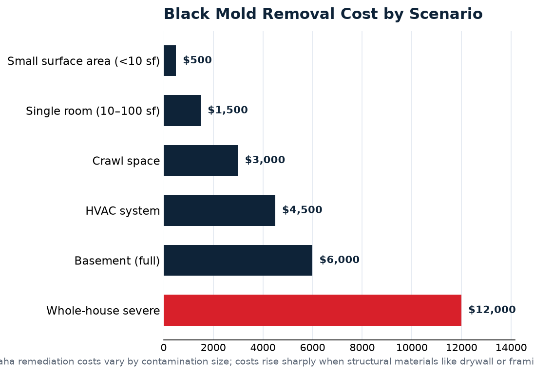 black mold removal data for Omaha homeowners