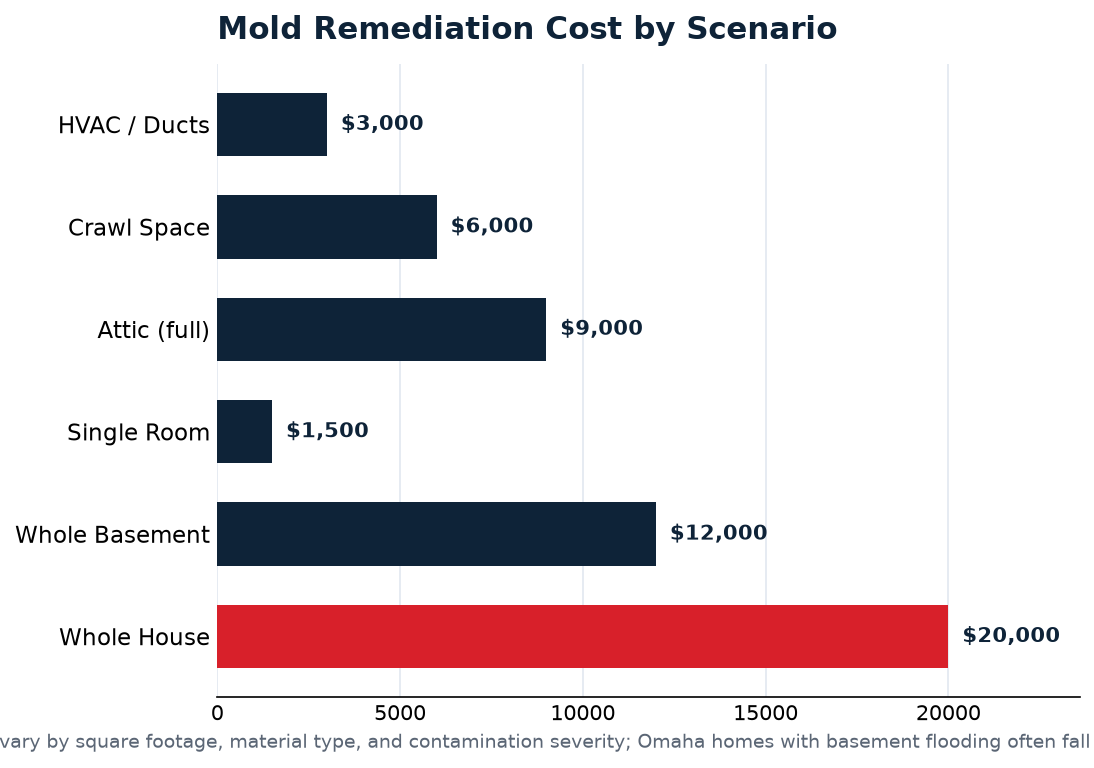 mold remediation data for Omaha homeowners